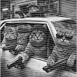 Animal Text Series-AT 3303